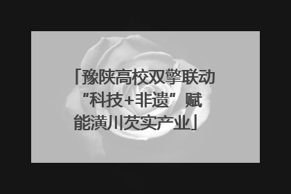 豫陕高校双擎联动 “科技+非遗”赋能潢川芡实产业