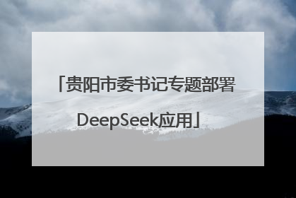 贵阳市委书记专题部署DeepSeek应用