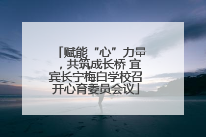 赋能“心”力量，共筑成长桥 宜宾长宁梅白学校召开心育委员会议
