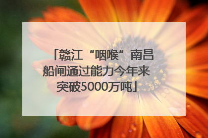 赣江“咽喉”南昌船闸通过能力今年来突破5000万吨