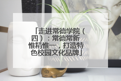 走进常德学院（四）：常德常新 惟精惟一，打造特色校园文化品牌