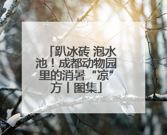 趴冰砖 泡水池！成都动物园里的消暑“凉”方丨图集