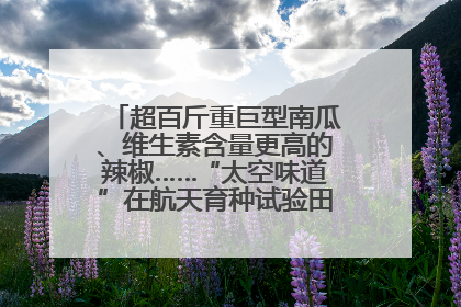 超百斤重巨型南瓜、维生素含量更高的辣椒……“太空味道”在航天育种试验田里拔节生长