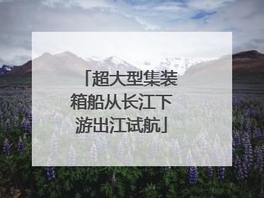 超大型集装箱船从长江下游出江试航