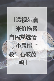透视东瀛｜米价拖累自民党选情，小泉能“救”石破茂吗