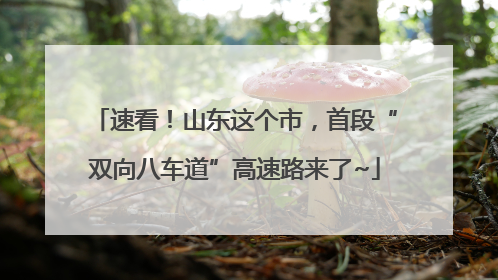速看！山东这个市，首段“双向八车道”高速路来了~