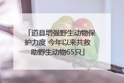 道县增强野生动物保护力度 今年以来共救助野生动物65只