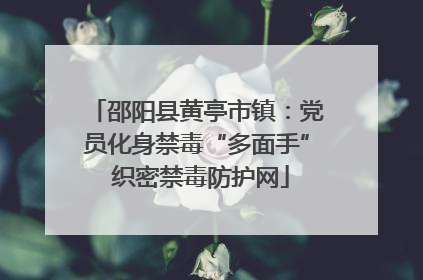 邵阳县黄亭市镇：党员化身禁毒“多面手” 织密禁毒防护网