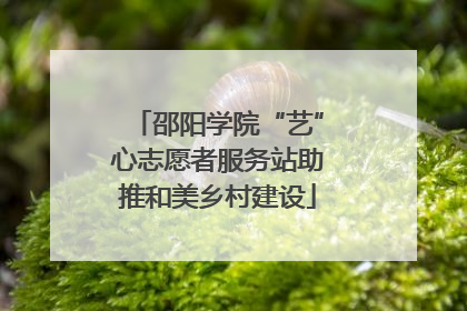 邵阳学院“艺”心志愿者服务站助推和美乡村建设