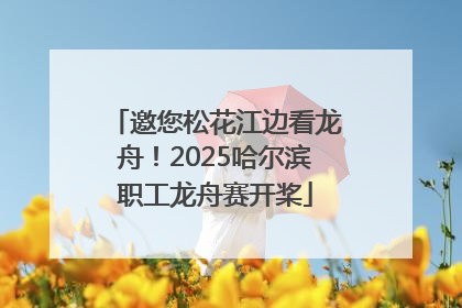 邀您松花江边看龙舟！2025哈尔滨职工龙舟赛开桨