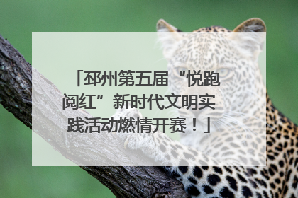 邳州第五届“悦跑阅红”新时代文明实践活动燃情开赛！