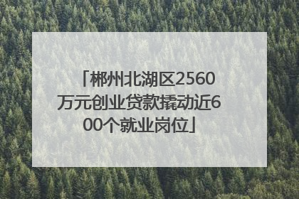 郴州北湖区2560万元创业贷款撬动近600个就业岗位