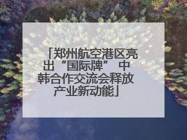 郑州航空港区亮出“国际牌” 中韩合作交流会释放产业新动能