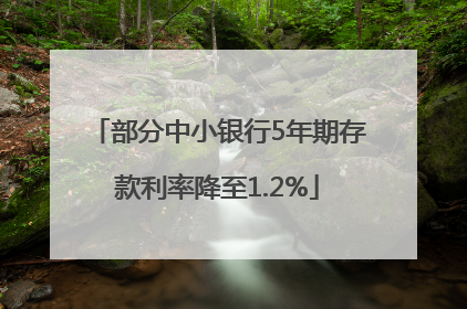 部分中小银行5年期存款利率降至1.2%