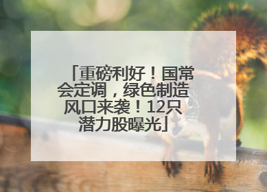 重磅利好！国常会定调，绿色制造风口来袭！12只潜力股曝光