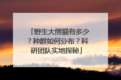 野生大熊猫有多少？种群如何分布？科研团队实地探秘