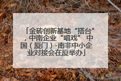 金砖创新基地“搭台”，中南企业“唱戏” 中国（厦门）-南非中小企业对接会在厦举办