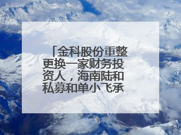 金科股份重整更换一家财务投资人，海南陆和私募和单小飞承接其投资额度