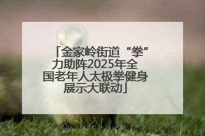 金家岭街道“拳”力助阵2025年全国老年人太极拳健身展示大联动