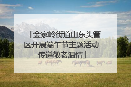 金家岭街道山东头管区开展端午节主题活动 传递敬老温情