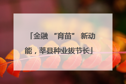 金融 “育苗” 新动能，莘县种业拔节长