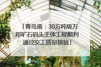 青岛港：30万吨级万邦矿石码头主体工程顺利通过交工质量核验