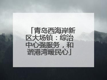 青岛西海岸新区大场镇：综治中心强服务，和谐港湾暖民心