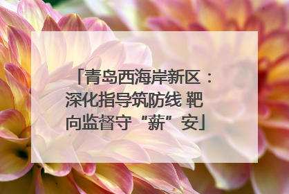 青岛西海岸新区：深化指导筑防线 靶向监督守“薪”安