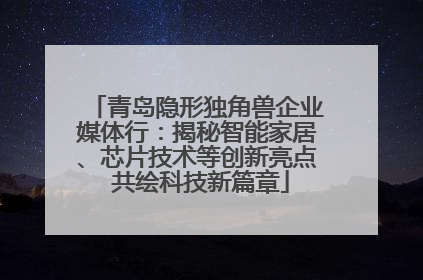 青岛隐形独角兽企业媒体行：揭秘智能家居、芯片技术等创新亮点 共绘科技新篇章