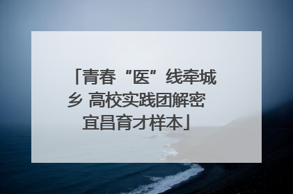 青春“医”线牵城乡 高校实践团解密宜昌育才样本