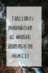靖江推行海绵城市建设 硬质化道路看不到雨水口