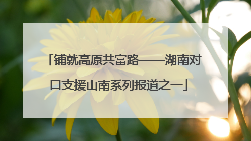 铺就高原共富路——湖南对口支援山南系列报道之一