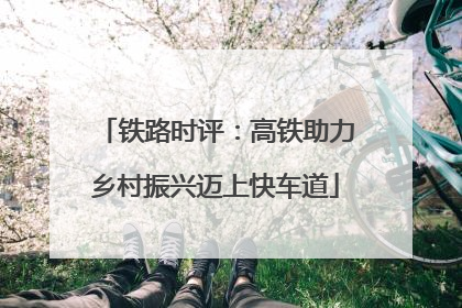 铁路时评：高铁助力乡村振兴迈上快车道