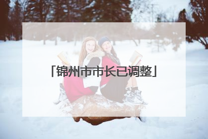 锦州市市长已调整