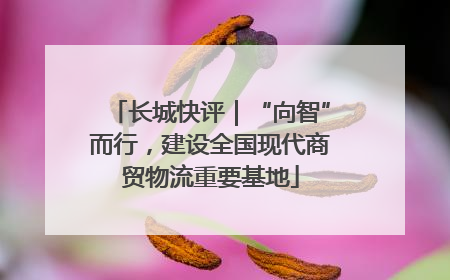 长城快评｜“向智”而行，建设全国现代商贸物流重要基地