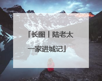 长图丨陆老太一家进城记