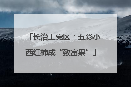 长治上党区：五彩小西红柿成“致富果”