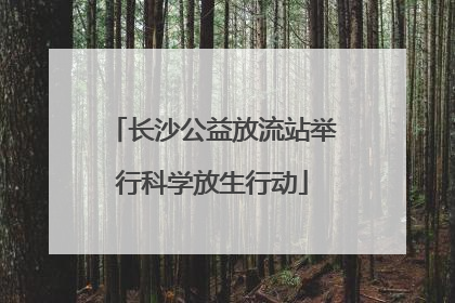 长沙公益放流站举行科学放生行动