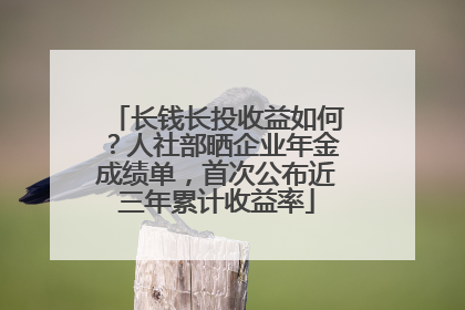 长钱长投收益如何？人社部晒企业年金成绩单，首次公布近三年累计收益率