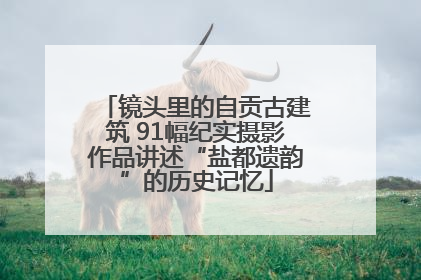 镜头里的自贡古建筑 91幅纪实摄影作品讲述“盐都遗韵”的历史记忆