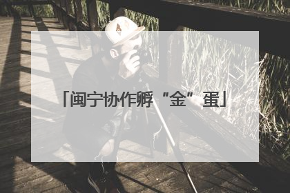 闽宁协作孵“金”蛋