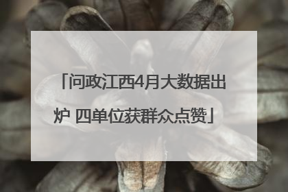 问政江西4月大数据出炉 四单位获群众点赞