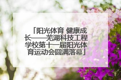 阳光体育 健康成长——芜湖科技工程学校第十一届阳光体育运动会圆满落幕