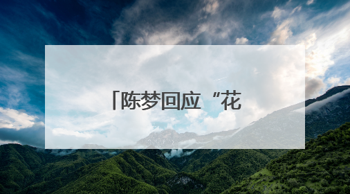 陈梦回应“花400亿买奥运会单打名额”