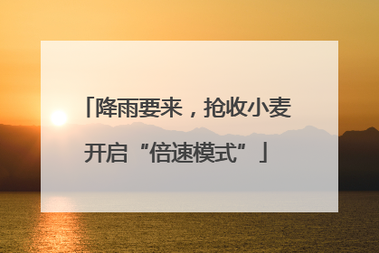 降雨要来，抢收小麦开启“倍速模式”