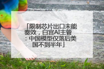 限制芯片出口未能奏效，白宫AI主管：中国模型仅落后美国不到半年