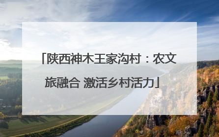陕西神木王家沟村：农文旅融合 激活乡村活力