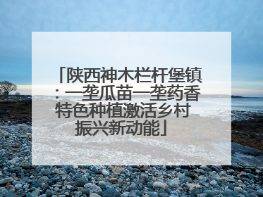 陕西神木栏杆堡镇：一垄瓜苗一垄药香 特色种植激活乡村振兴新动能