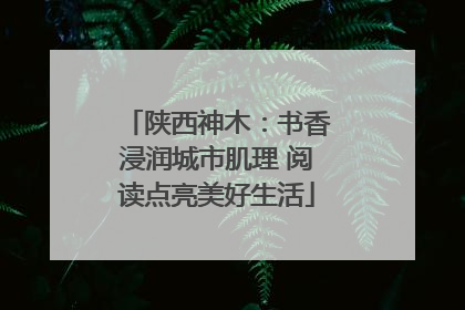 陕西神木：书香浸润城市肌理 阅读点亮美好生活