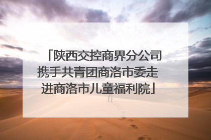 陕西交控商界分公司携手共青团商洛市委走进商洛市儿童福利院